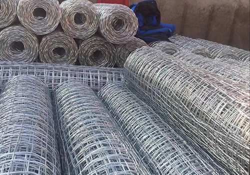 經緯網卷圖片4